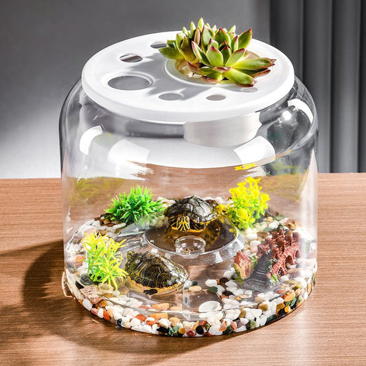Transparent Desktop Aquarium Tank – Minimal Plastic Fish Tank for Home & Office